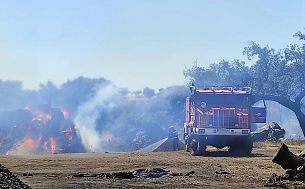 El Ayuntamiento informa de la entrada en vigor de la época de peligro bajo de incendios forestales