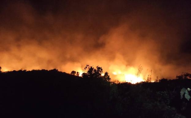 Calcinadas unas diez hectáreas de la finca de Moncarche en un incendio que ha estado activo toda la noche