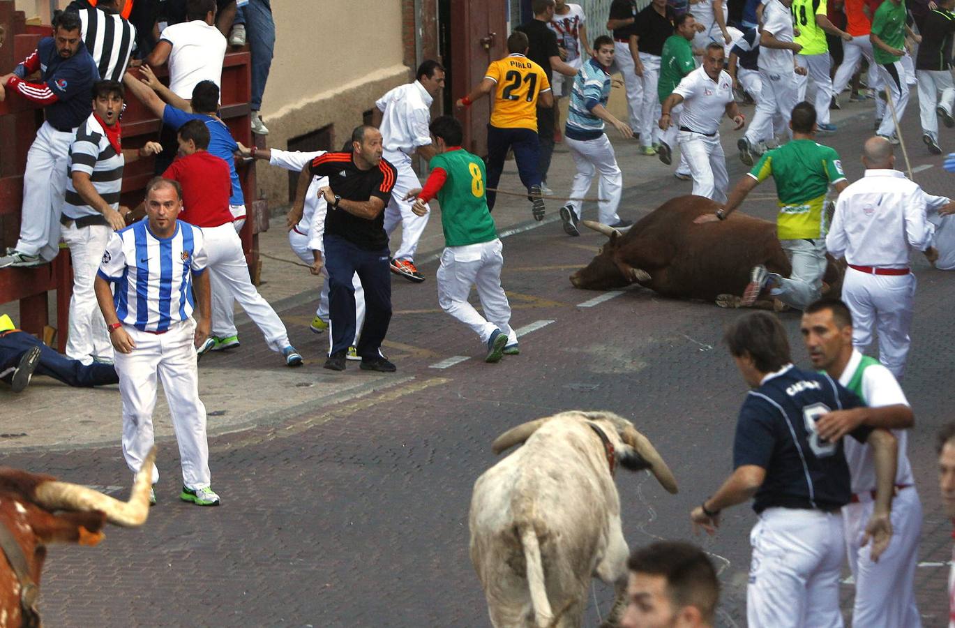Cuarto encierro de San Sebastián de los Reyes
