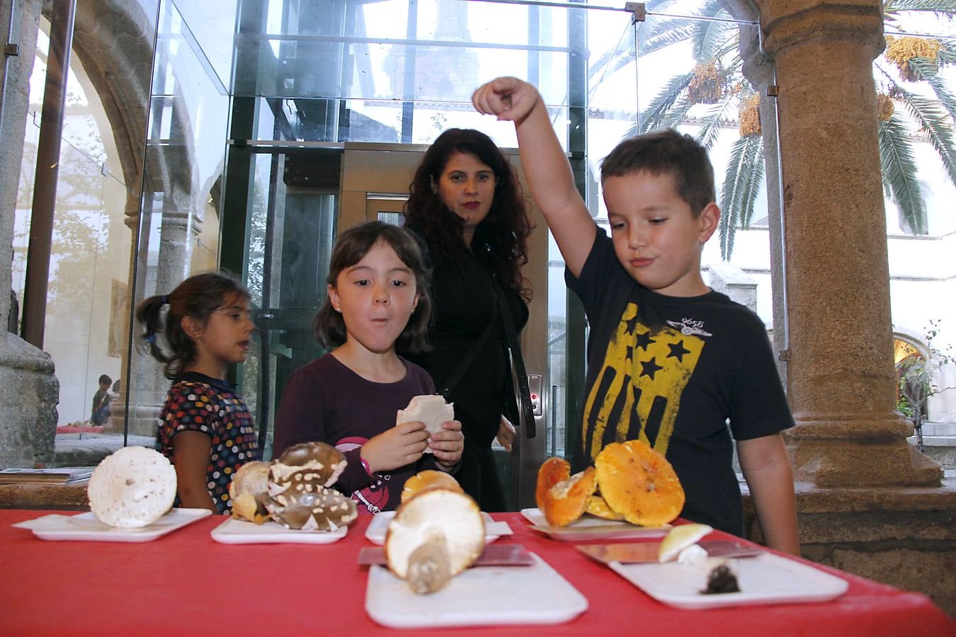 Comienzan los Lunes Micológicos en Cáceres