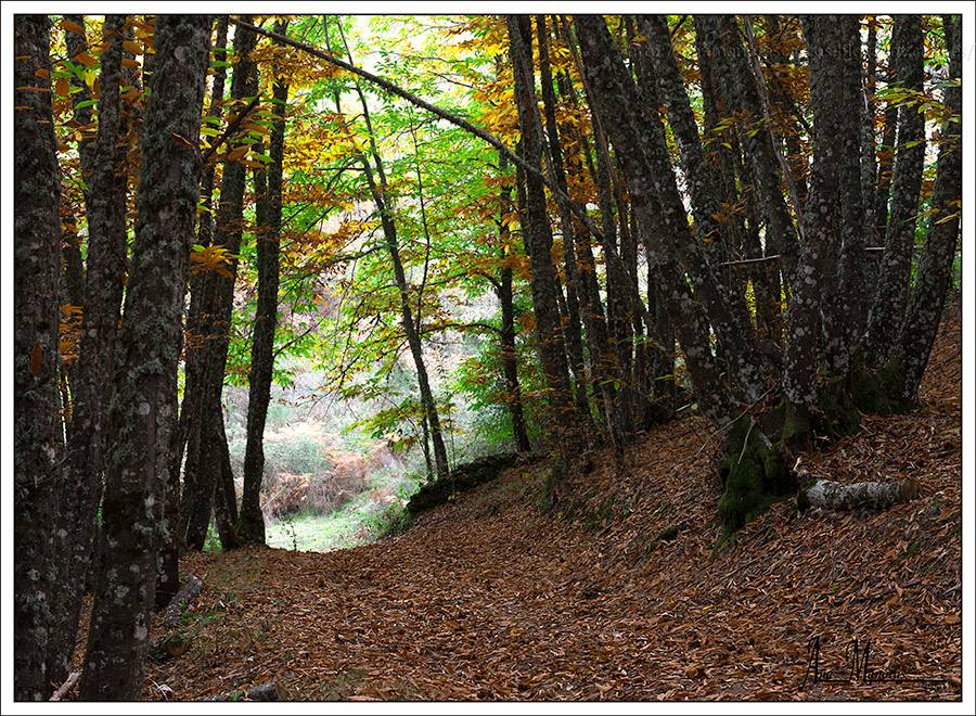 Un viaje por los rincones de Extremadura