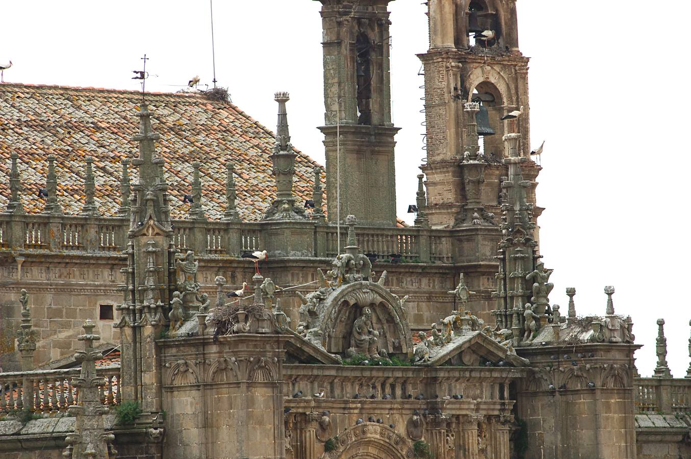 La Catedral de Plasencia y las Cigüeñas