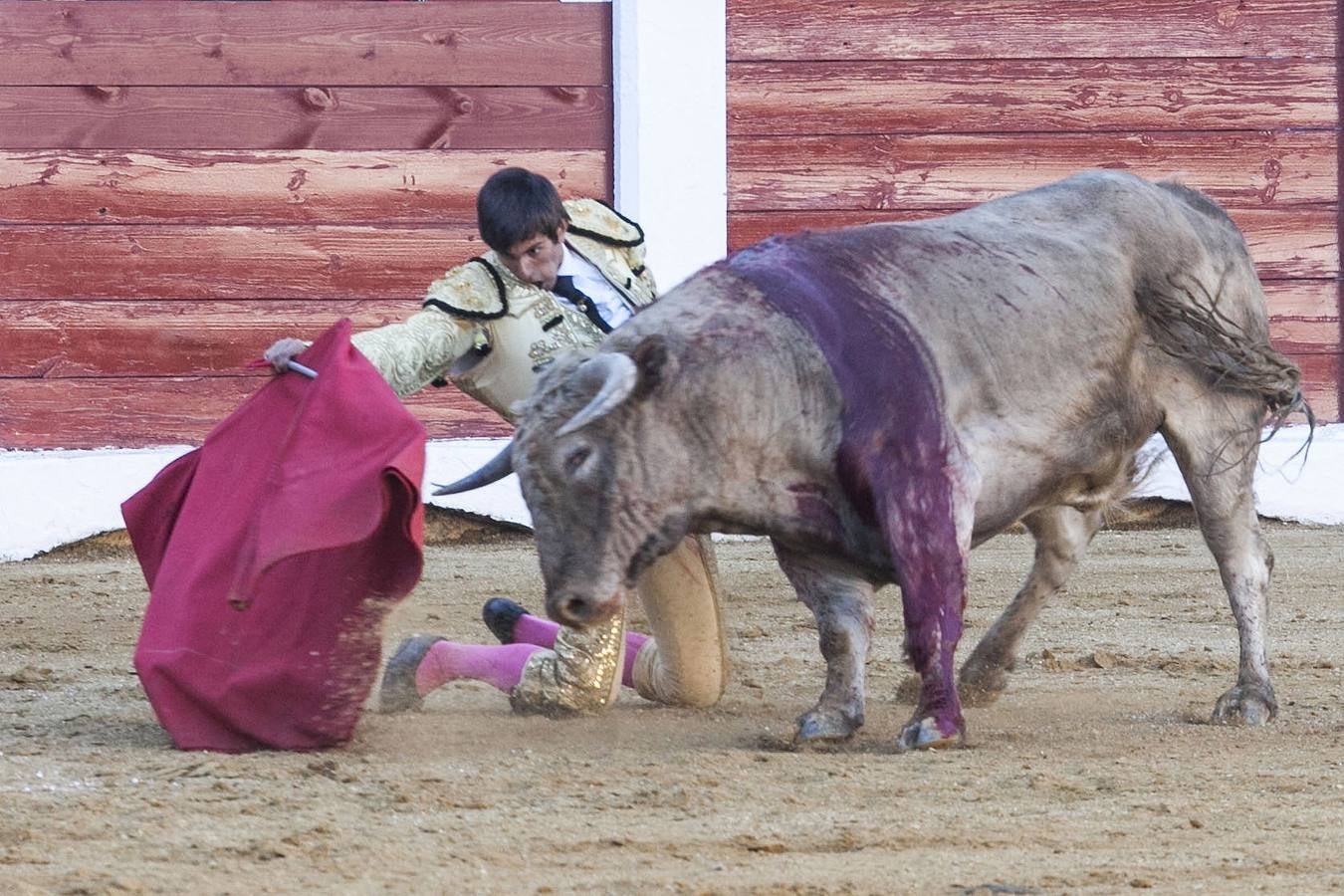 Novillada con picadores en Cáceres