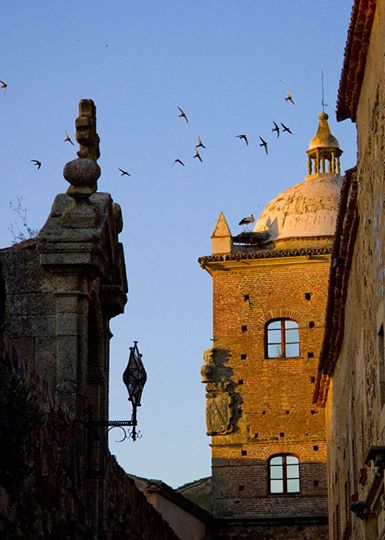 El Festival de las Aves, en imágenes