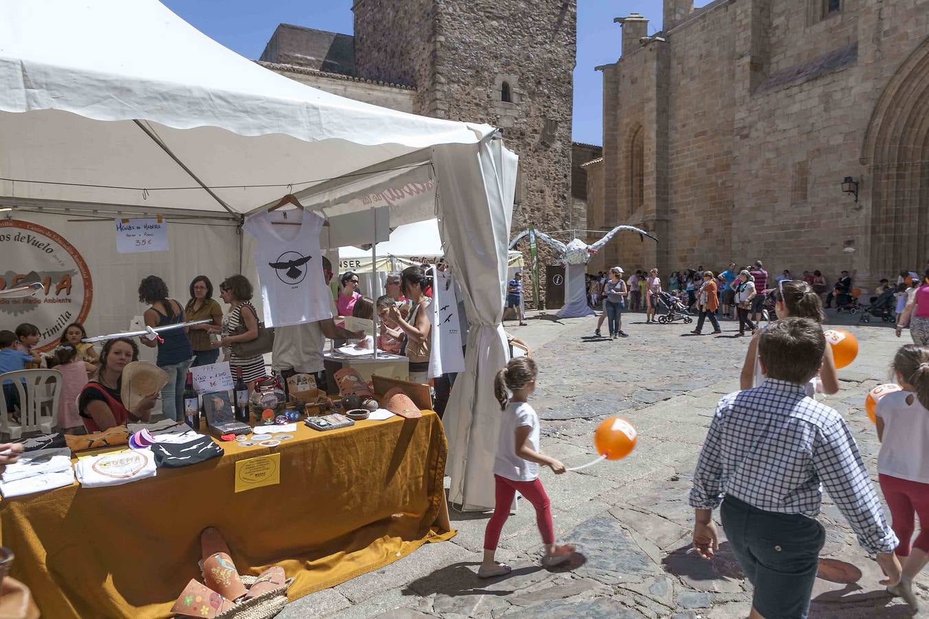 Séptima edición del Festival de las Aves de Cáceres