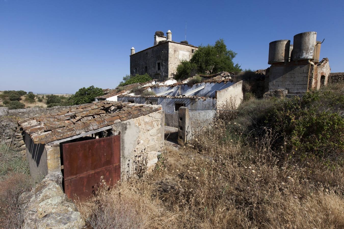 Zamarrilla aparece en la Lista Roja del patrimonio en riesgo de desaparición