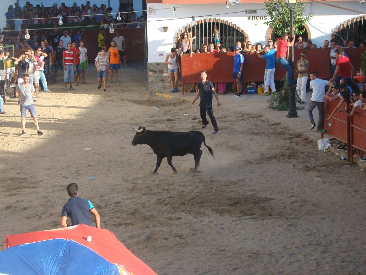 Capea en Bodonal de la Sierra