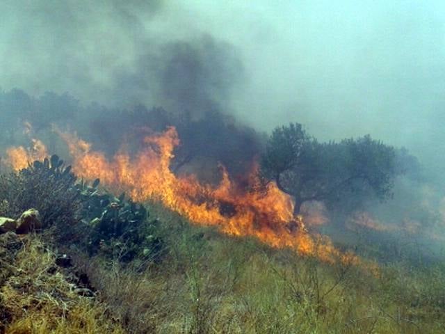 Controlado un fuego en la Sierra de Hornachos