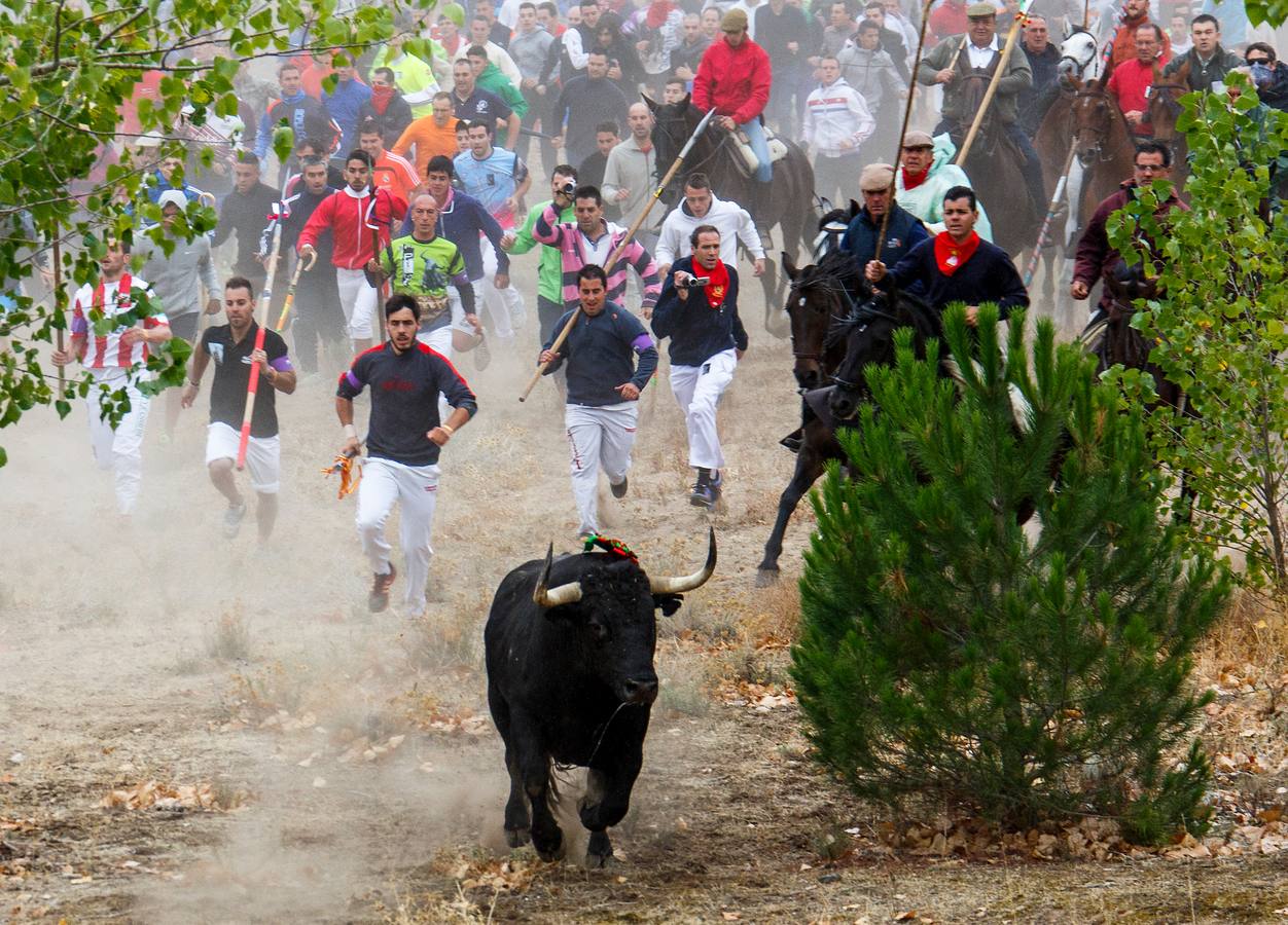 El Toro de la Vega 2015