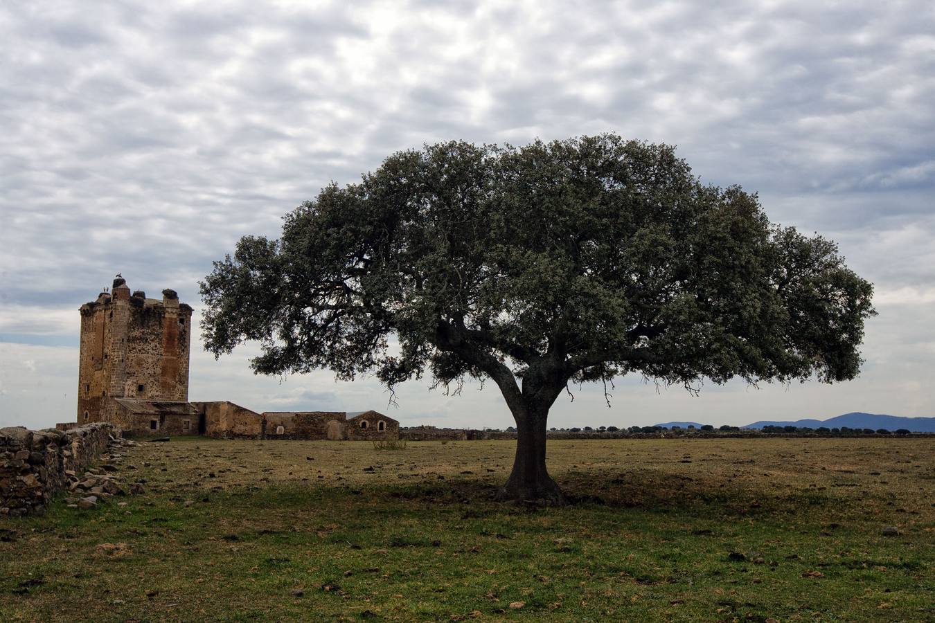 La ermita sumergida de San Jorge pide socorro
