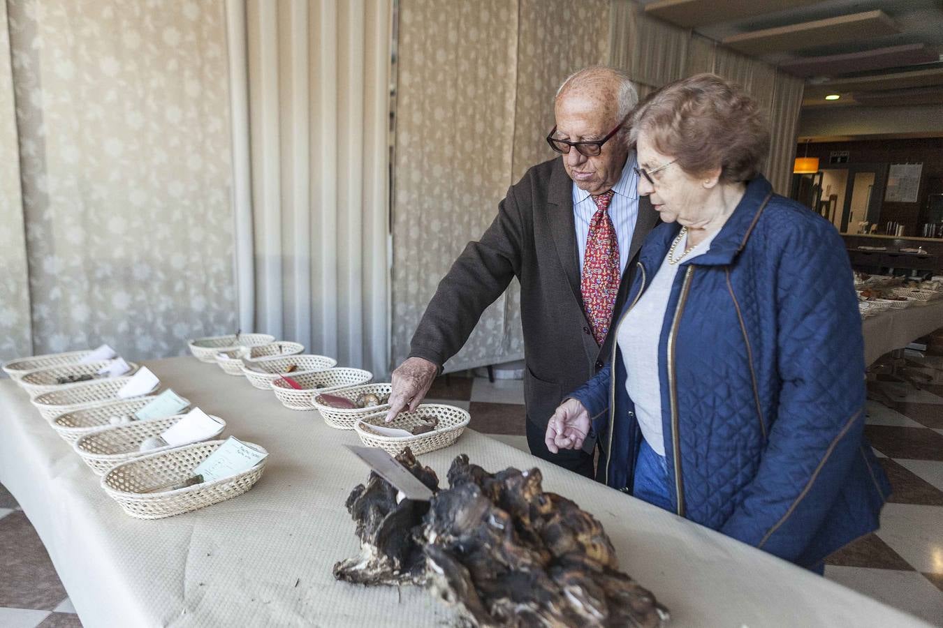 La Sociedad Micológica Extremeña celebra el Día de la Seta en Cáceres