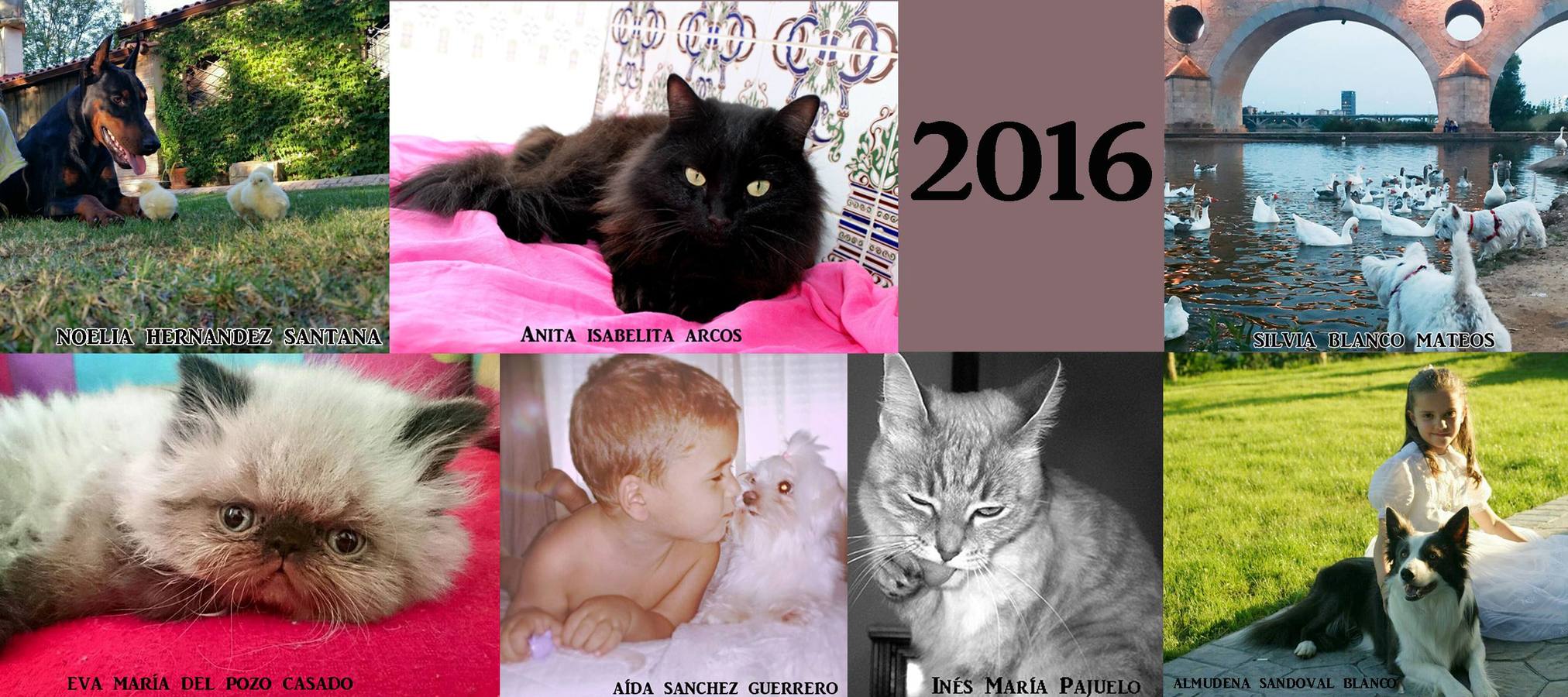 Calendario solidario de SOS Animales de Campanario