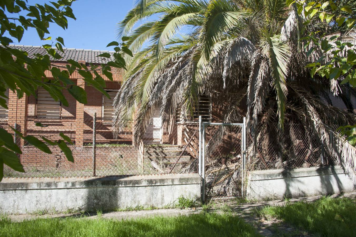 La maleza invade la colonia de la base de Talavera