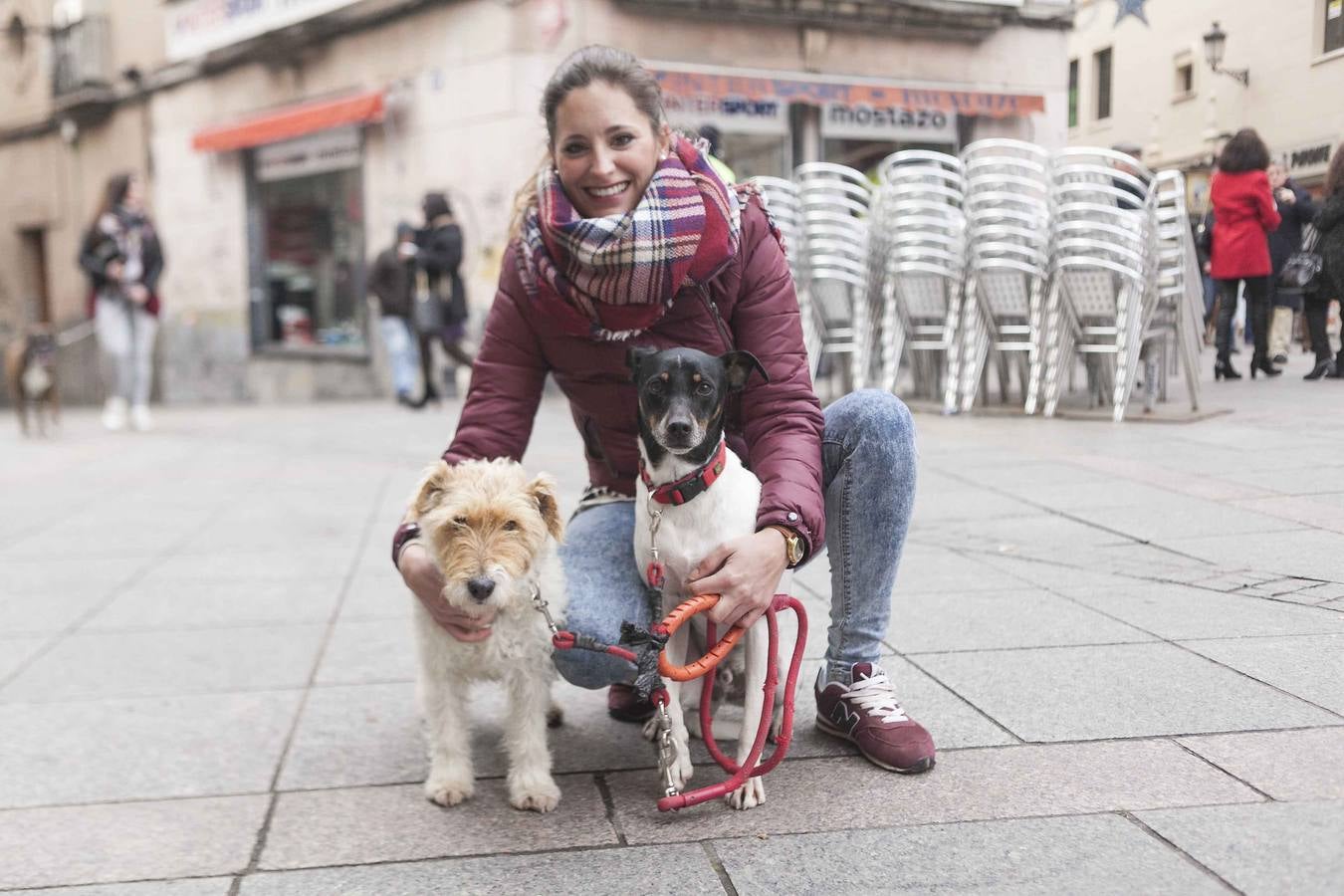San Antón bendice a cientos de mascotas