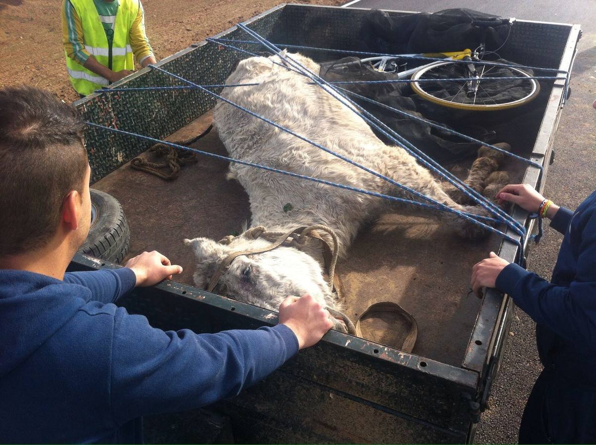 Las imágenes de la semana