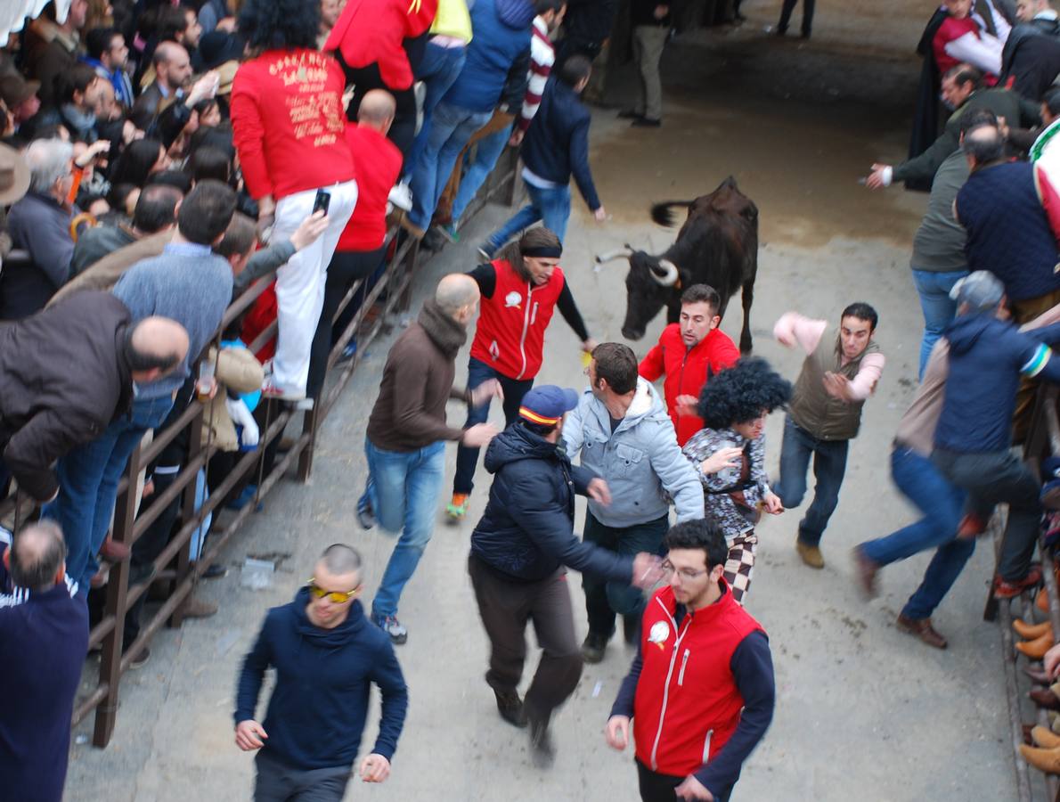 Primer día de encierros y capea del Carnaval 2016