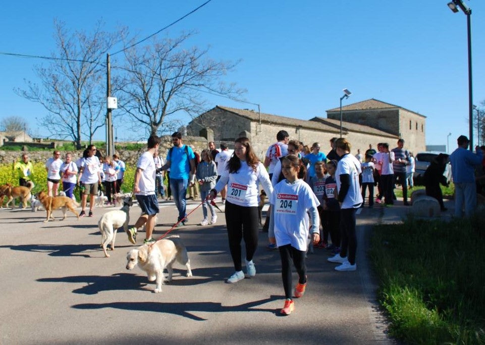 Gran respuesta en el 'Perrinoton' solidario