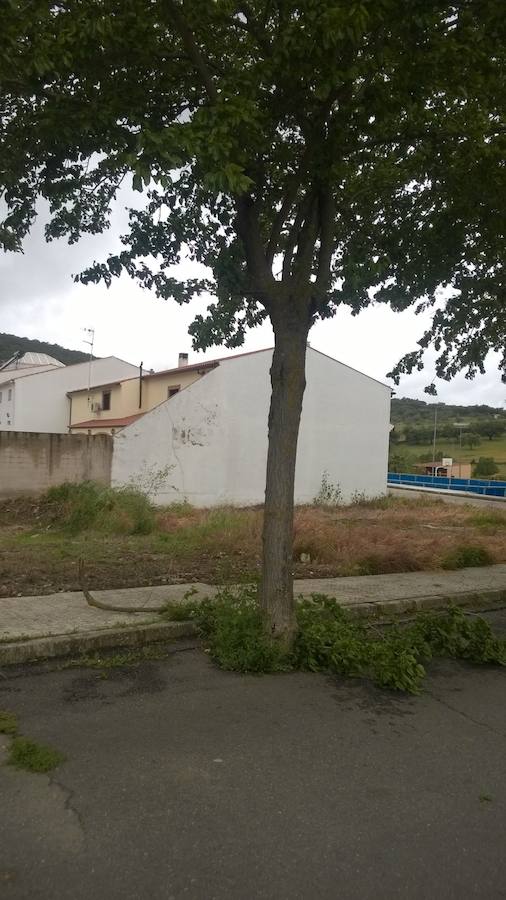 Consecuencias del temporal de lluvia y viento en Monesterio
