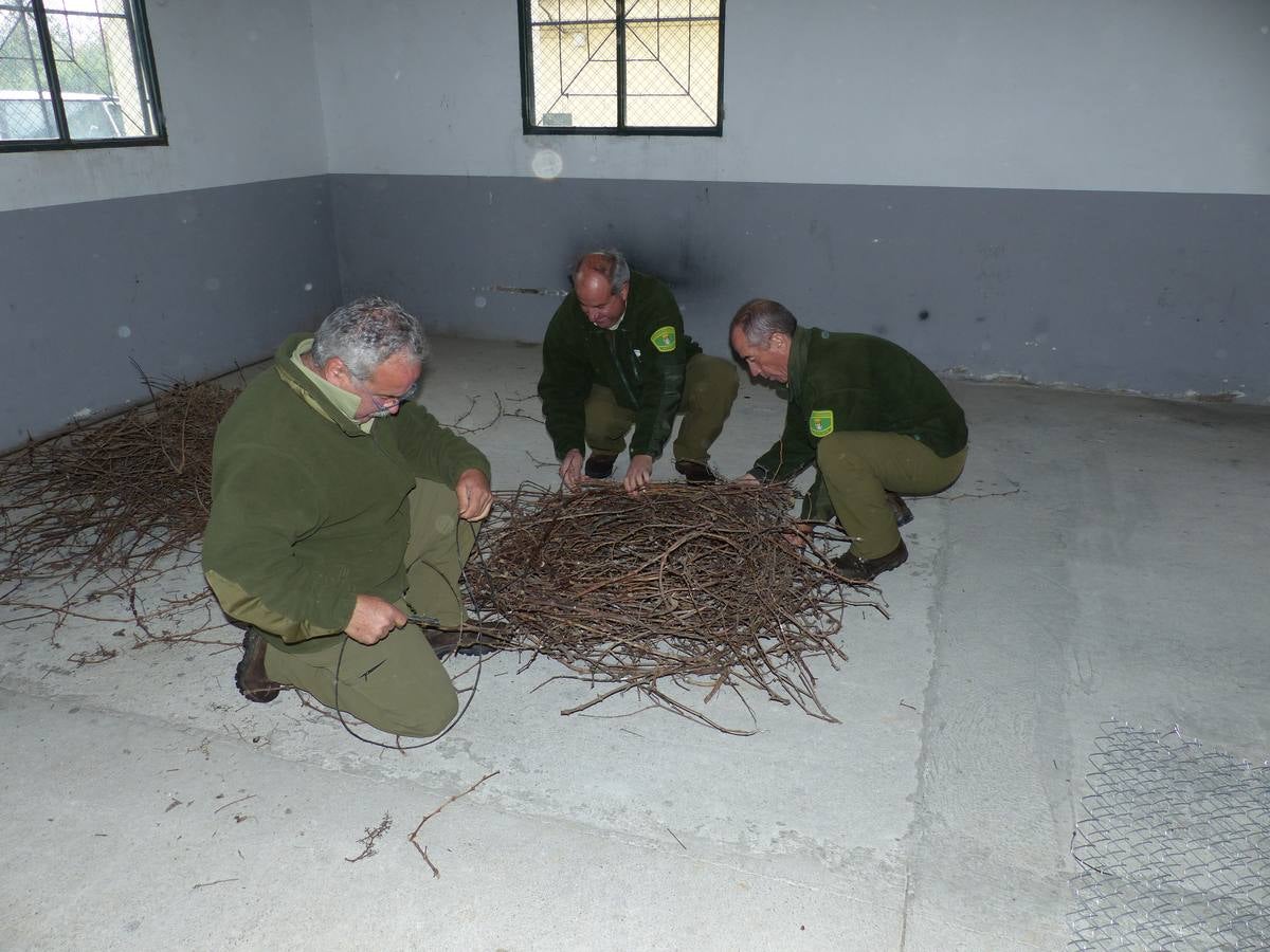 Rescate de huevos de cigüeñas negras