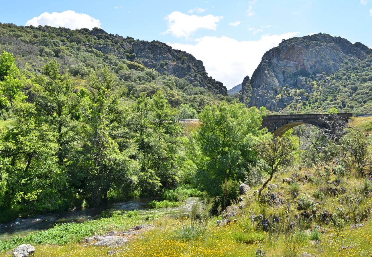 Las Apreturas del Almonte