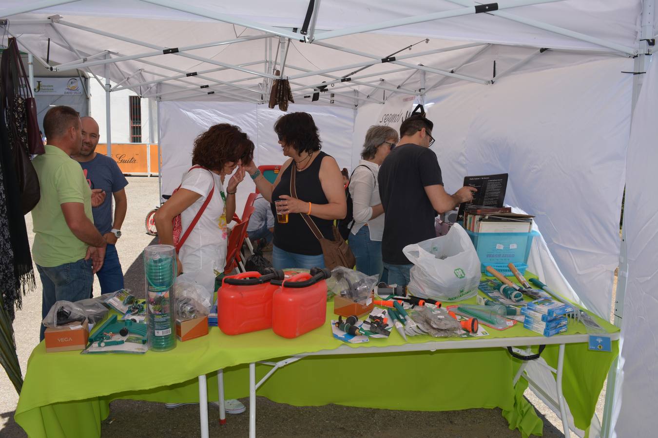 Movimiento Solidario 2016