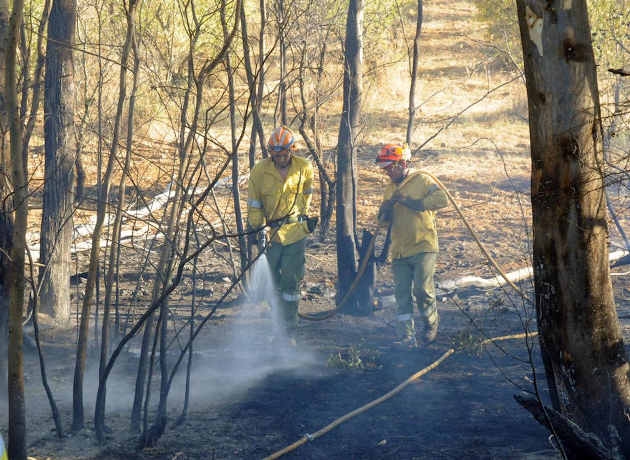 Estabilizado el incendio en Don Álvaro