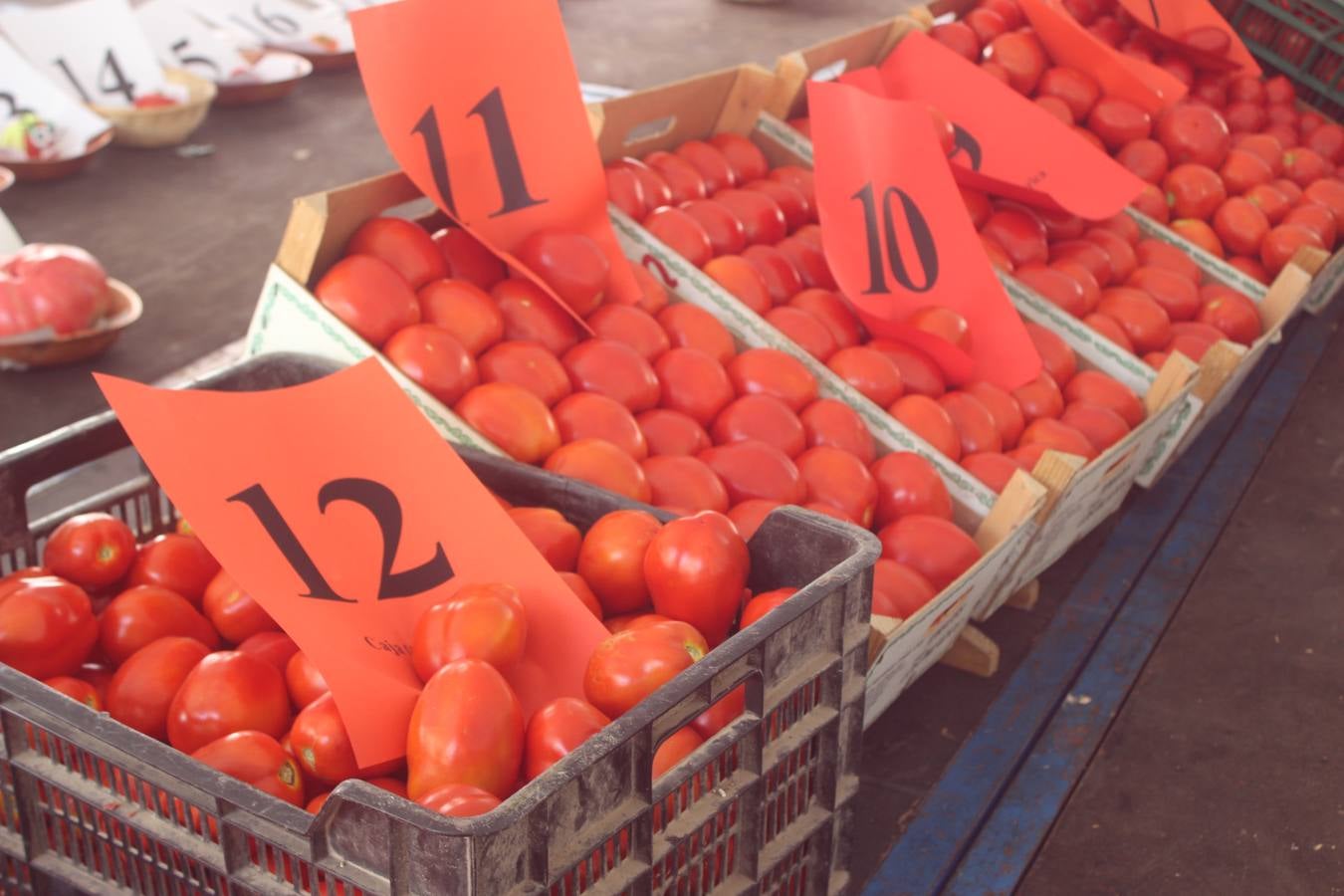 XXXII Concurso del Tomate