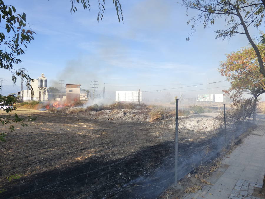 Un incendio obliga a cortar la carretera de Rosalejo