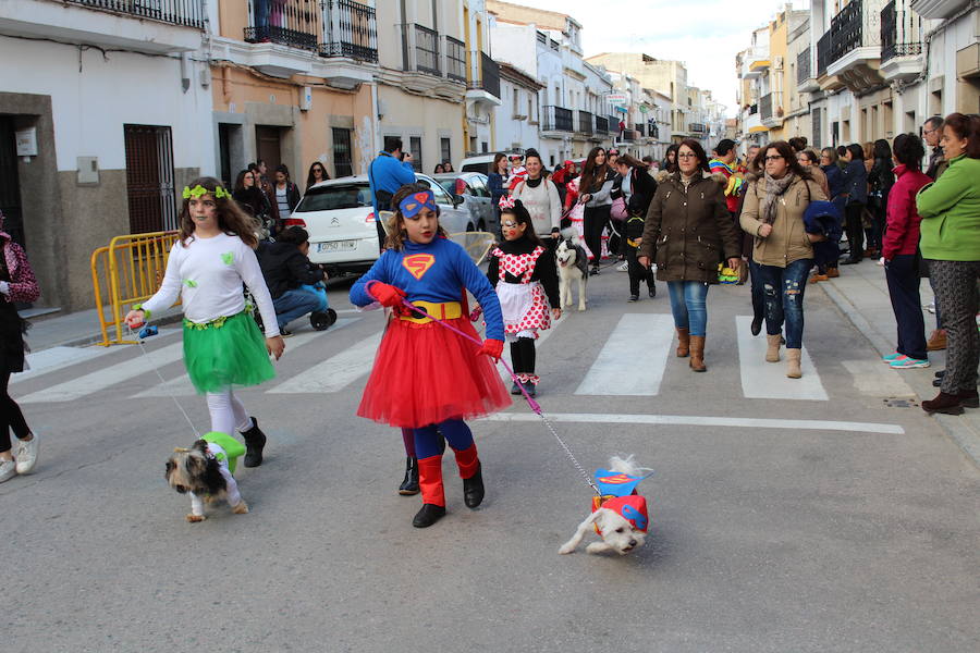 Las mascotas salen a la calle en el primer Carnavanimal