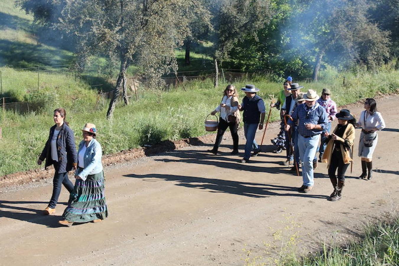Camino hacia la pradera 2017 (I)
