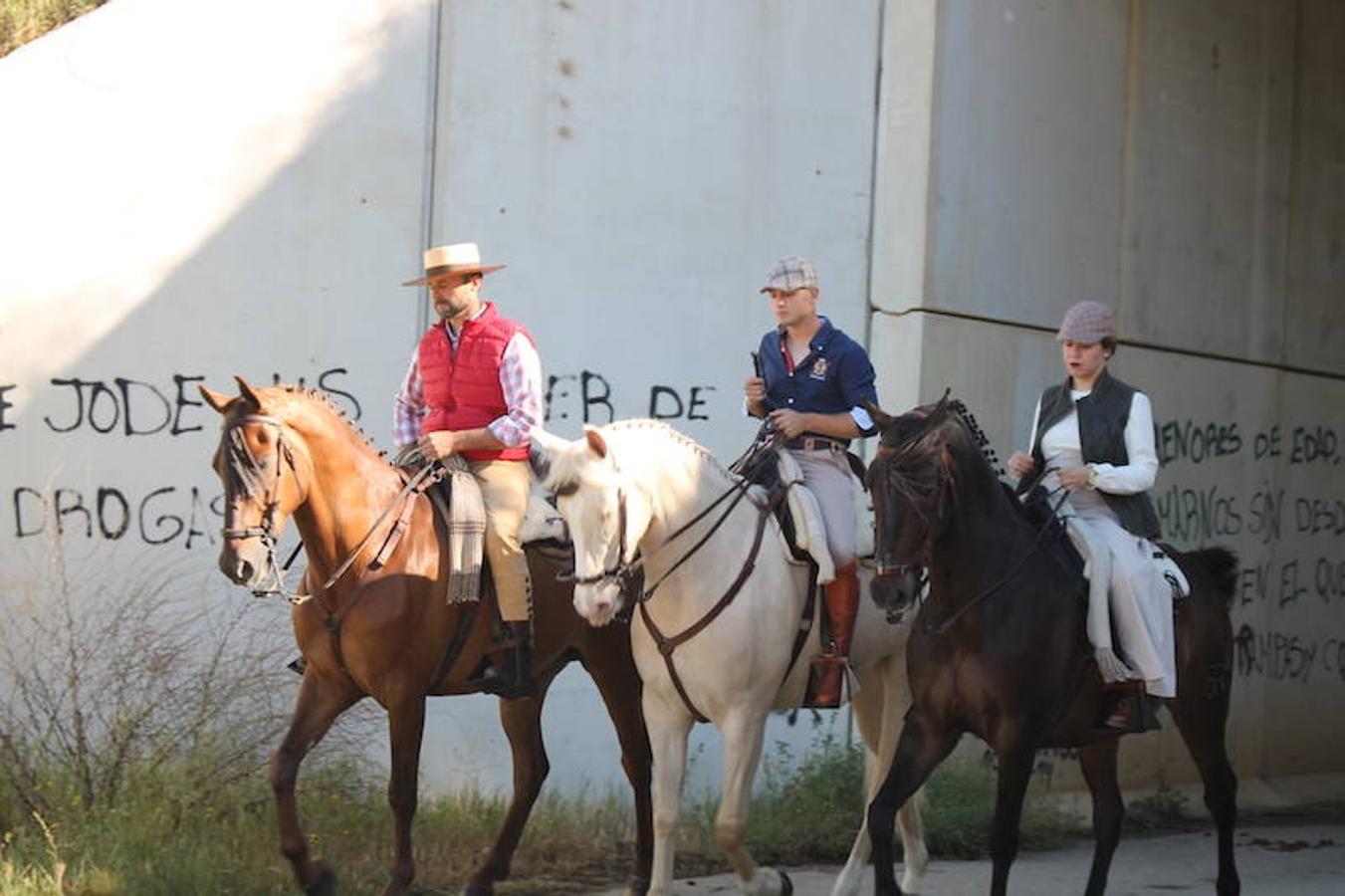Camino hacia la pradera 2017 (III)