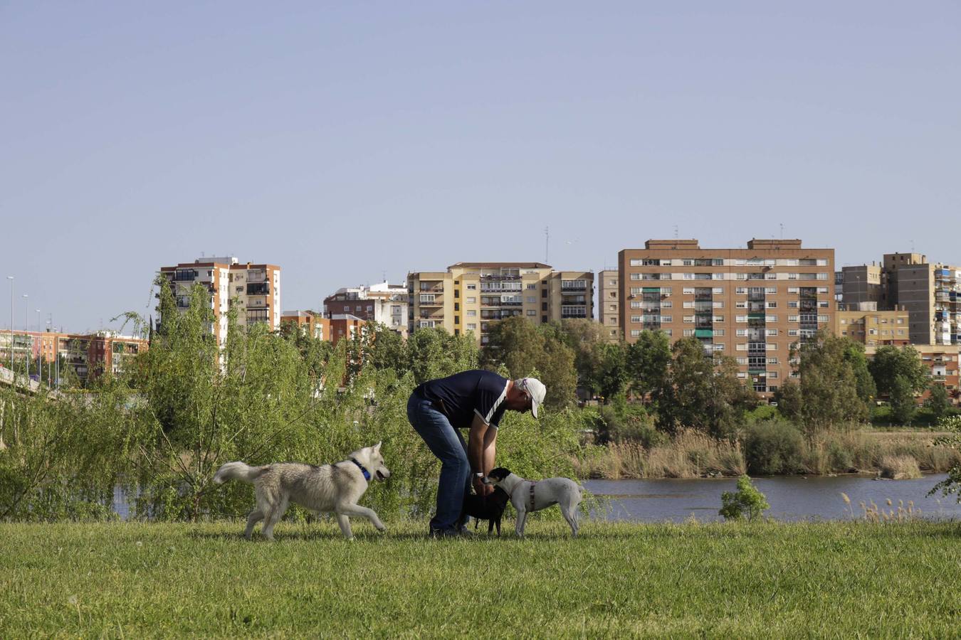 Plenitud del Parque del Río