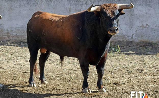 Toros de Jandilla para la segunda de abono