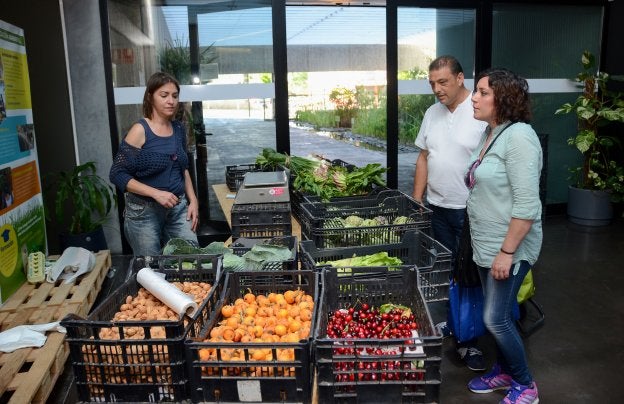 Más de 400 familias extremeñas compran a través de grupos de autoconsumo