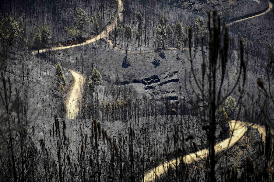 Paisajes en negro en Portugal tras el incendio