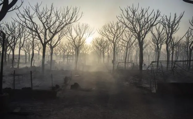 El fuego en el entorno de Doñana afecta a casi 8.500 hectáreas