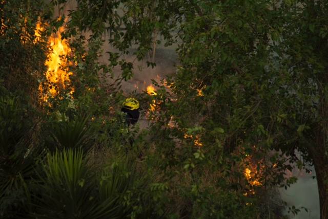 Incendio en el Parque del Príncipe de Cáceres