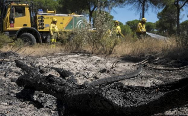 Extinguido tras más de diez días el incendio del entorno de Doñana