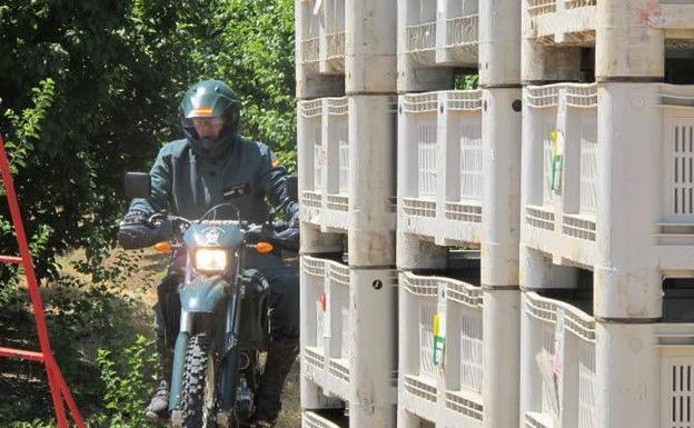 La guardia civil del campo