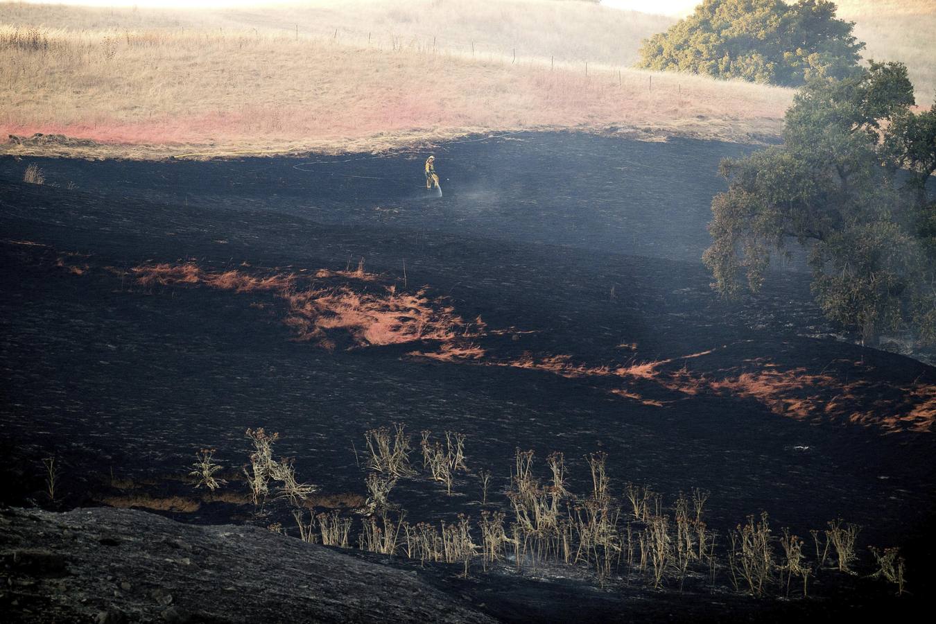Incendio forestal en California