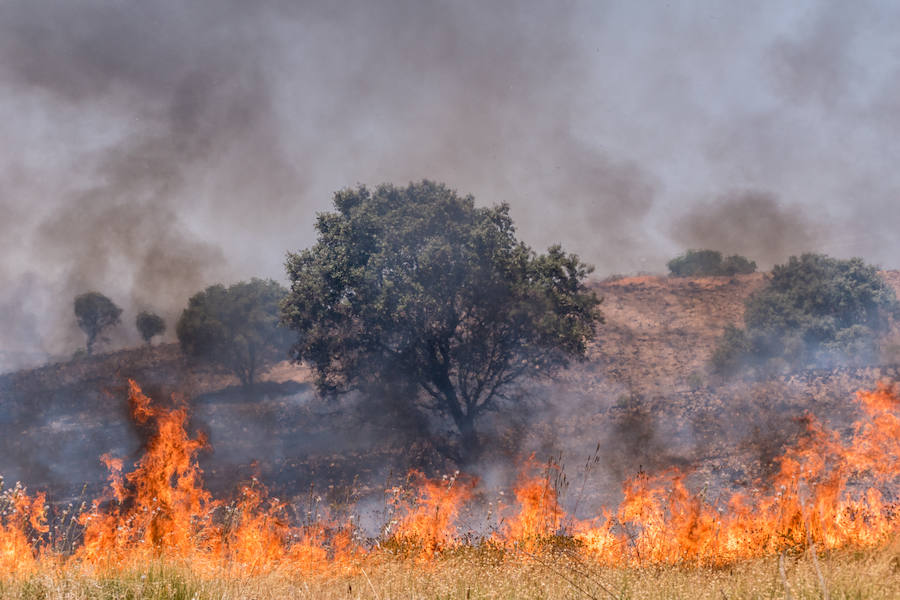 Un incendio entre Llera y Las Vaguadas calcina 1.000 hectáreas
