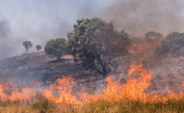 Un incendio en la zona de caza entre Llera y Las Vaguadas calcina 1.000 hectáreas