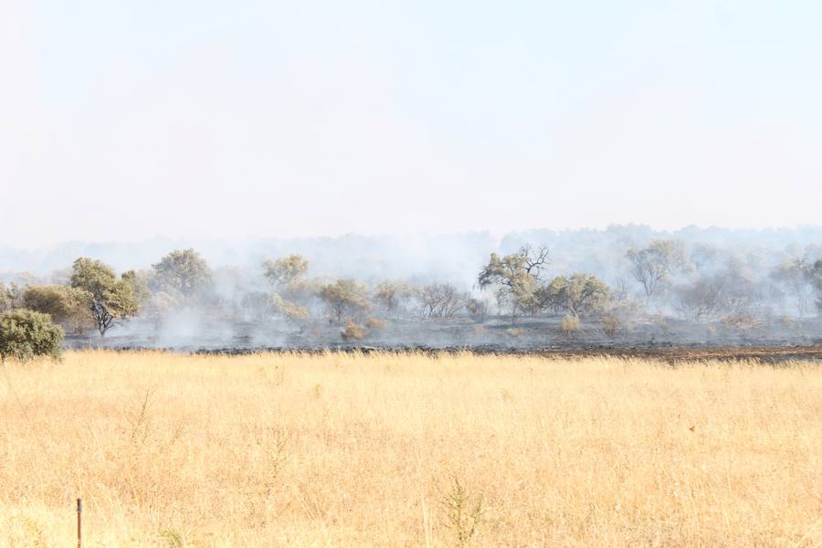 Nuevo incendio en la finca del Rebellao en Valverde de Leganés