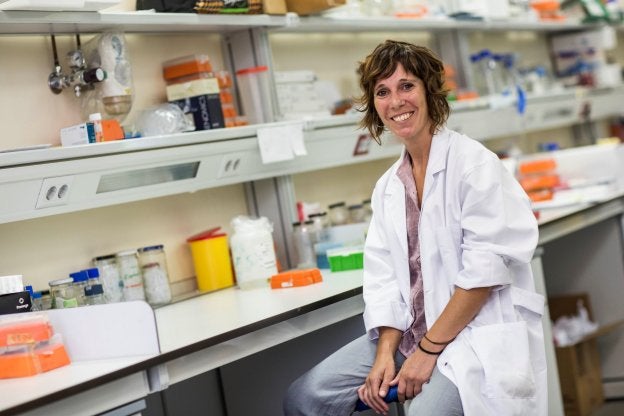 Una esperanza contra la malaria