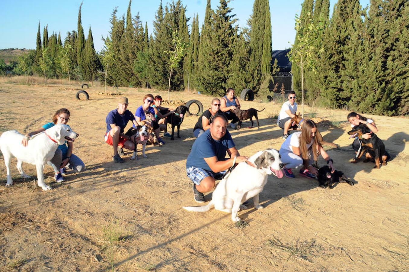 Un perro por cada tres extremeños