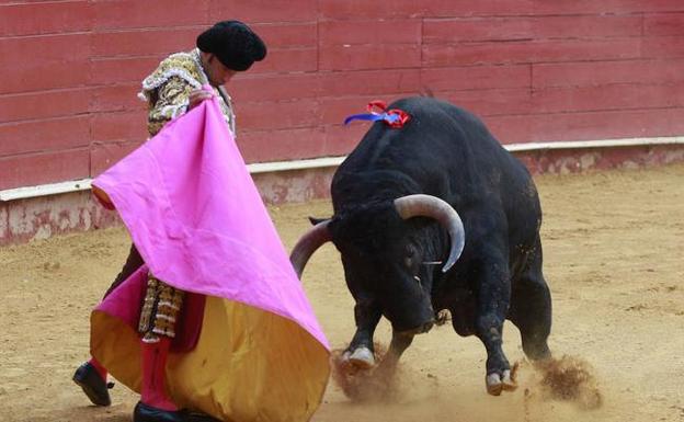 Ferrera se impone en un aciago debut ganadero en corridas de toros de Alejandro Talavante