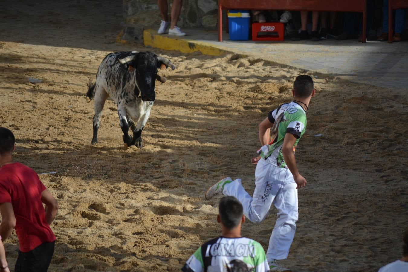CAPEAS 2017 BODONAL DE LA SIERRA