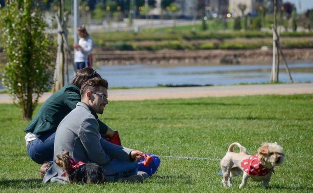 El parque canino de Badajoz tendrá 7.000 metros cuadrados junto al Puente Real