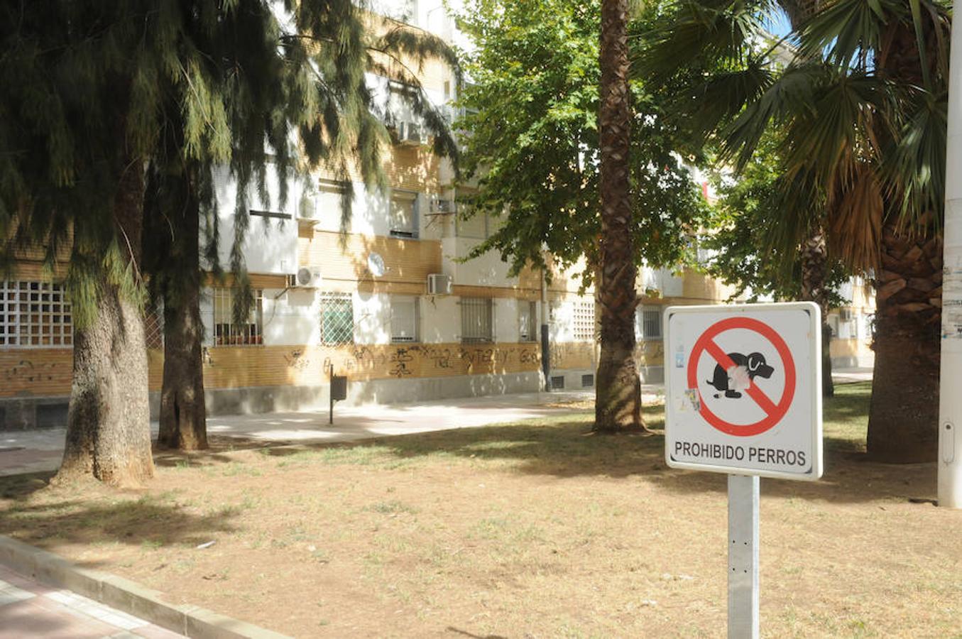 El mal estado de la plaza