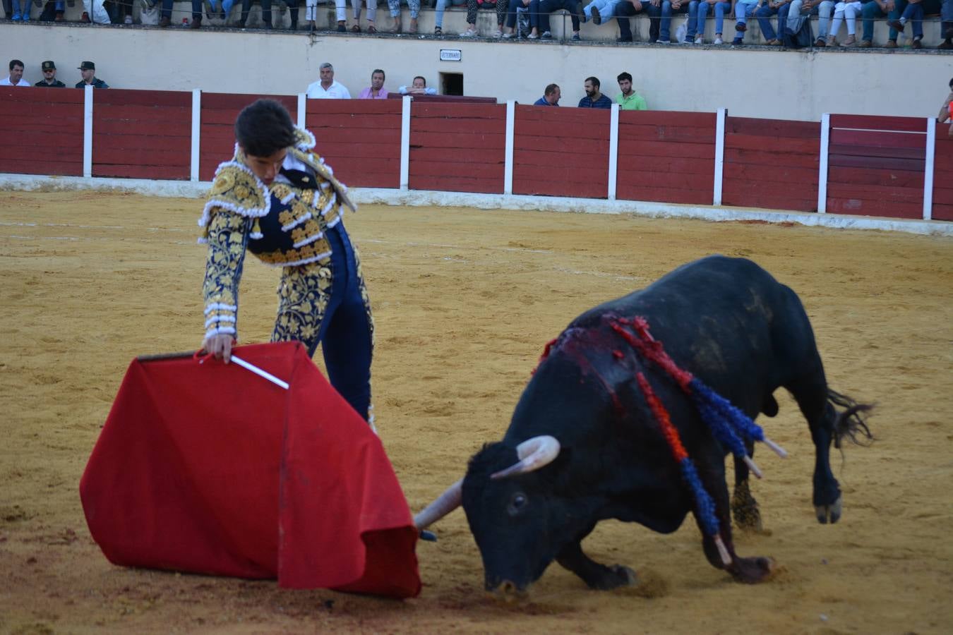 NOVILLADA CON PICADORES 2017 HIGUERA LA REAL